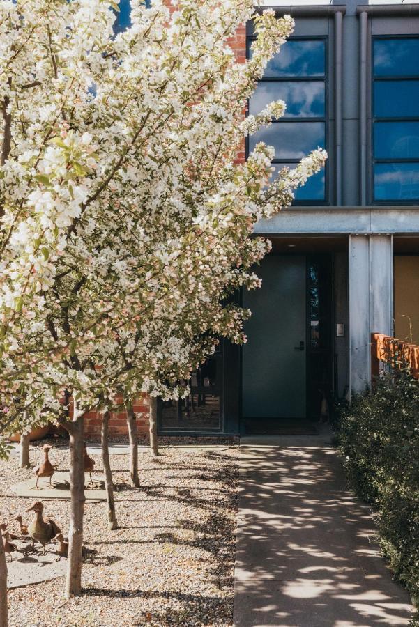 Mews Cottages Гисборн Екстериор снимка