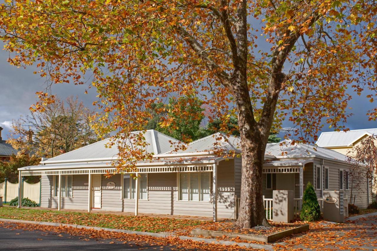 Mews Cottages Гисборн Екстериор снимка